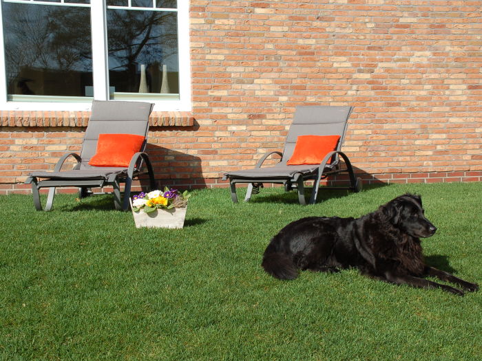 Nordsee Wellness Ferienhaus mit Hund, Deutschland Nordsee Nordfriesland